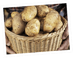 Altenglische Kartoffeln