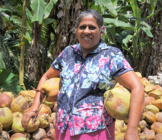 Kokosnuss Bäuerin mit Kokosnüssen unterm Arm